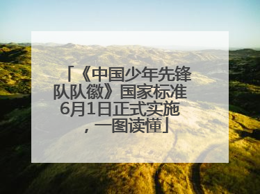 《中国少年先锋队队徽》国家标准6月1日正式实施，一图读懂