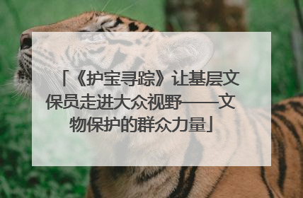 《护宝寻踪》让基层文保员走进大众视野——文物保护的群众力量