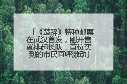 《楚辞》特种邮票在武汉首发，刚开售就排起长队，首位买到的市民直呼激动