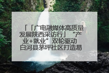 「广电融媒体高质量发展陕西采访行」“产业+就业”双轮驱动 白河县茅坪社区打造易地搬迁后扶新样本