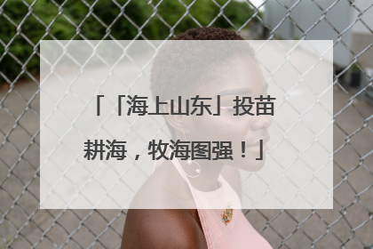 「海上山东」投苗耕海，牧海图强！