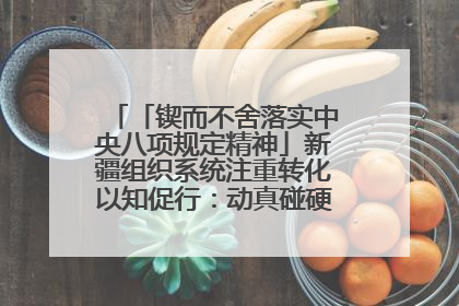 「锲而不舍落实中央八项规定精神」新疆组织系统注重转化以知促行：动真碰硬抓好整改整治