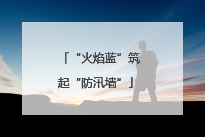 “火焰蓝”筑起“防汛墙”