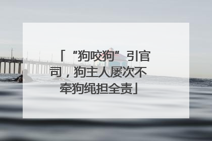“狗咬狗”引官司，狗主人屡次不牵狗绳担全责