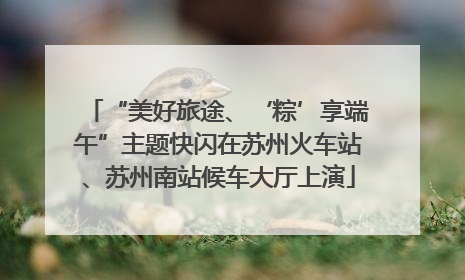 “美好旅途、‘粽’享端午”主题快闪在苏州火车站、苏州南站候车大厅上演