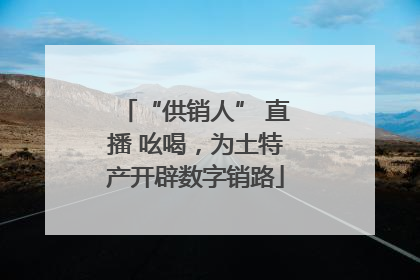 “供销人” 直播 吆喝，为土特产开辟数字销路