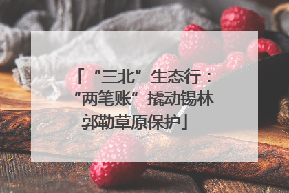 “三北”生态行：“两笔账”撬动锡林郭勒草原保护