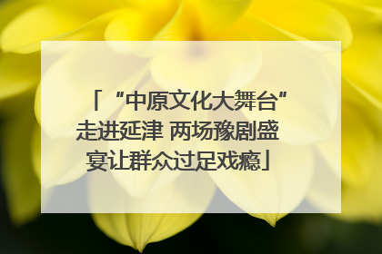 “中原文化大舞台”走进延津 两场豫剧盛宴让群众过足戏瘾