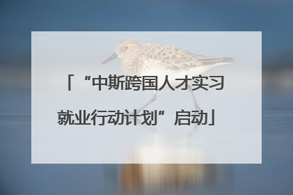 “中斯跨国人才实习就业行动计划”启动