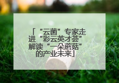 “云菌”专家走进“彩云英才荟”解读“一朵蘑菇”的产业未来