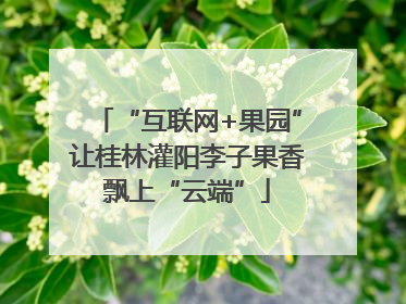 “互联网+果园”让桂林灌阳李子果香飘上“云端”