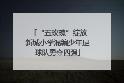 “五玫瑰”绽放 新城小学混编少年足球队勇夺四强