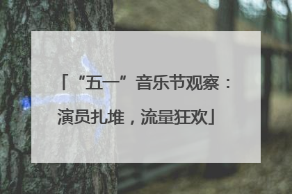 “五一”音乐节观察：演员扎堆，流量狂欢