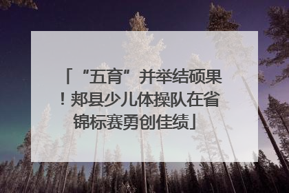 “五育”并举结硕果！郏县少儿体操队在省锦标赛勇创佳绩