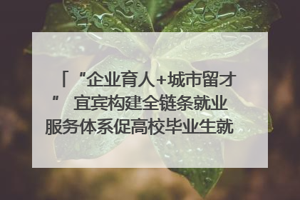 “企业育人+城市留才” 宜宾构建全链条就业服务体系促高校毕业生就业｜您牵挂的四川