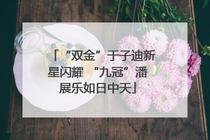 “双金”于子迪新星闪耀 “九冠”潘展乐如日中天