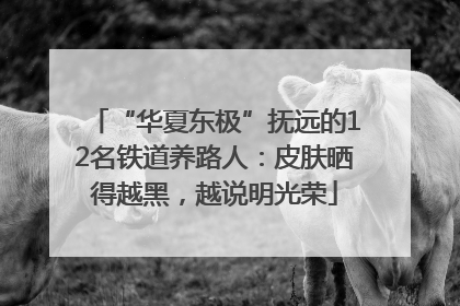 “华夏东极”抚远的12名铁道养路人：皮肤晒得越黑，越说明光荣