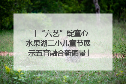 “六艺”绽童心 水果湖二小儿童节展示五育融合新图景