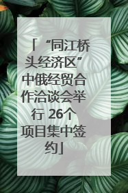 “同江桥头经济区”中俄经贸合作洽谈会举行 26个项目集中签约