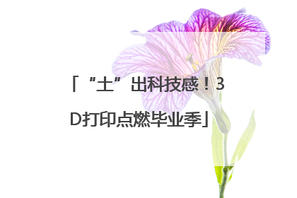 “土”出科技感！3D打印点燃毕业季