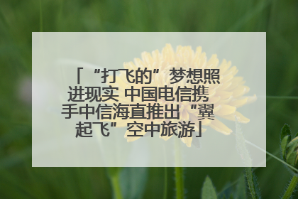 “打飞的”梦想照进现实 中国电信携手中信海直推出“翼起飞”空中旅游