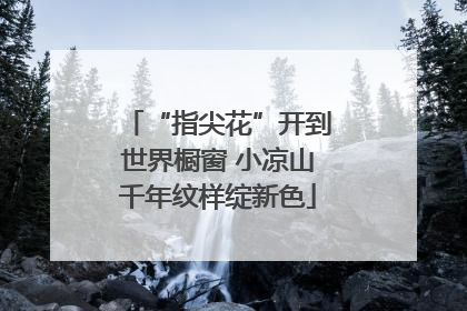 “指尖花”开到世界橱窗 小凉山千年纹样绽新色