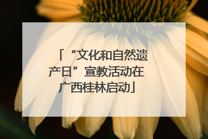 “文化和自然遗产日”宣教活动在广西桂林启动