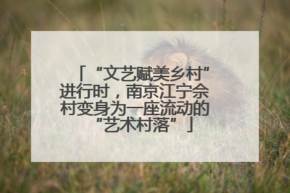 “文艺赋美乡村”进行时，南京江宁佘村变身为一座流动的“艺术村落”
