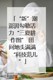 “新”潮澎湃勾勒活力“三夏耕作图” 田间地头满满“科技范儿”