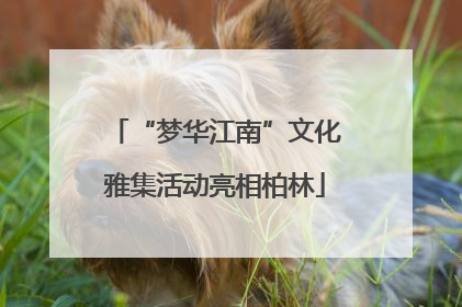 “梦华江南”文化雅集活动亮相柏林