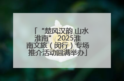 “楚风汉韵 山水淮南” 2025淮南文旅（闵行）专场推介活动圆满举办