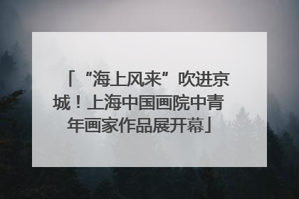 “海上风来”吹进京城！上海中国画院中青年画家作品展开幕