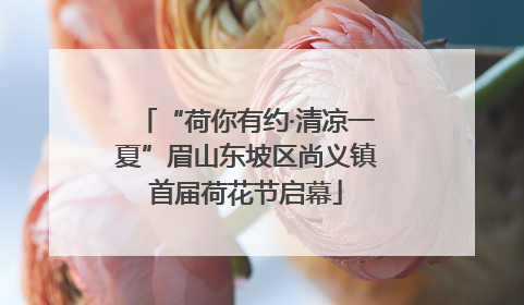 “荷你有约·清凉一夏”眉山东坡区尚义镇首届荷花节启幕