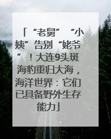 “老舅”“小姨”告别“姥爷”！大连9头斑海豹重归大海，海洋世界：它们已具备野外生存能力