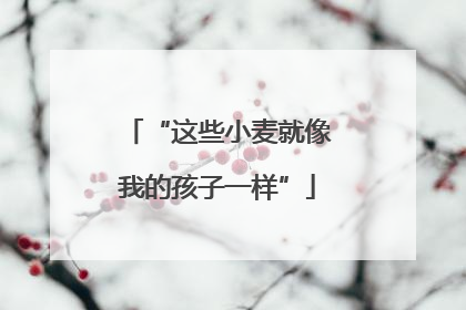 “这些小麦就像我的孩子一样”