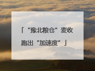“豫北粮仓”麦收跑出“加速度”