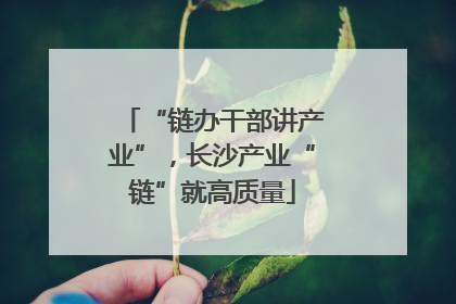 “链办干部讲产业”，长沙产业“链”就高质量