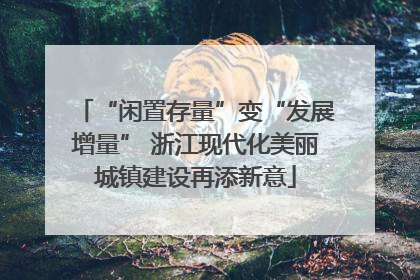 “闲置存量”变“发展增量” 浙江现代化美丽城镇建设再添新意
