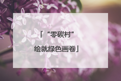 “零碳村” 绘就绿色画卷