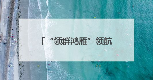 “领群鸿雁”领航边境共治新生态