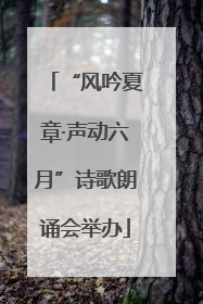 “风吟夏章·声动六月”诗歌朗诵会举办