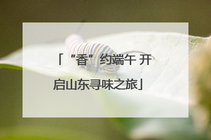 “香”约端午 开启山东寻味之旅