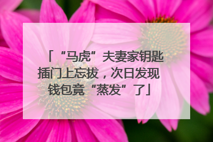 “马虎”夫妻家钥匙插门上忘拔，次日发现钱包竟“蒸发”了