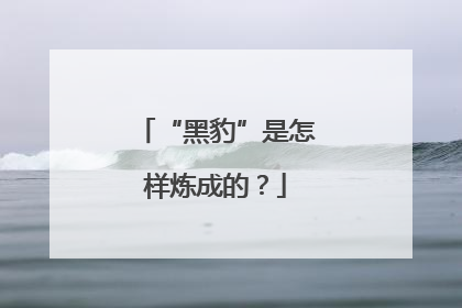 “黑豹”是怎样炼成的？
