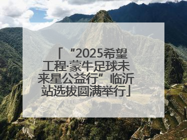 “2025希望工程·蒙牛足球未来星公益行”临沂站选拔圆满举行