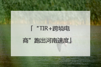 “TIR+跨境电商”跑出河南速度