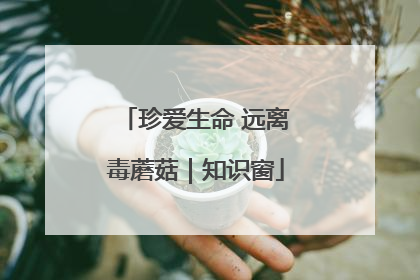 珍爱生命 远离毒蘑菇｜知识窗