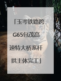 玉岑铁路跨G65包茂高速特大桥系杆拱主体完工