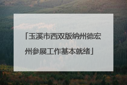 玉溪市西双版纳州德宏州参展工作基本就绪