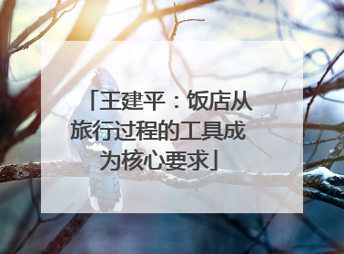 王建平：饭店从旅行过程的工具成为核心要求
